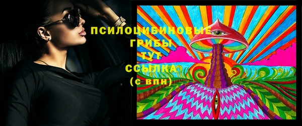 кокс Арсеньев