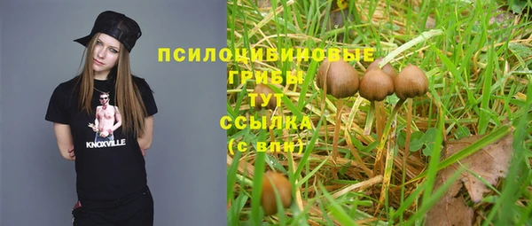 соль курить ск Аркадак